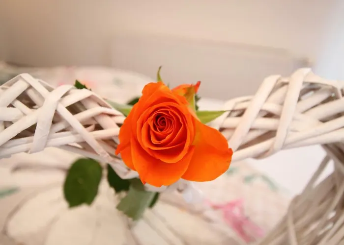 Πανσιόν Haus Sonnenhang