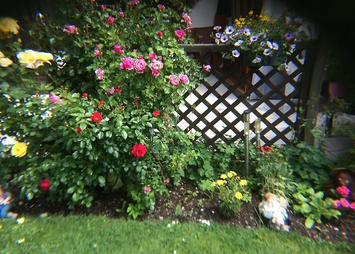 Guest house Haus Sonnenhang