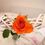 Guest house Haus Sonnenhang