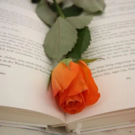 Haus Sonnenhang בית הארחה זולדן